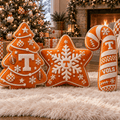 TVF Christmas Tree Base Pillow Set HTTT